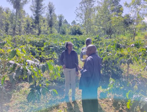 Sector-Wide Impact Assessment (SWIA) On the Coffee Industry – Stakeholder Engagement in Nandi County