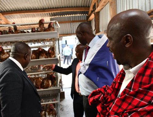 Cracking the Egg Crisis: KNCCI Champions Sustainable Poultry Farming